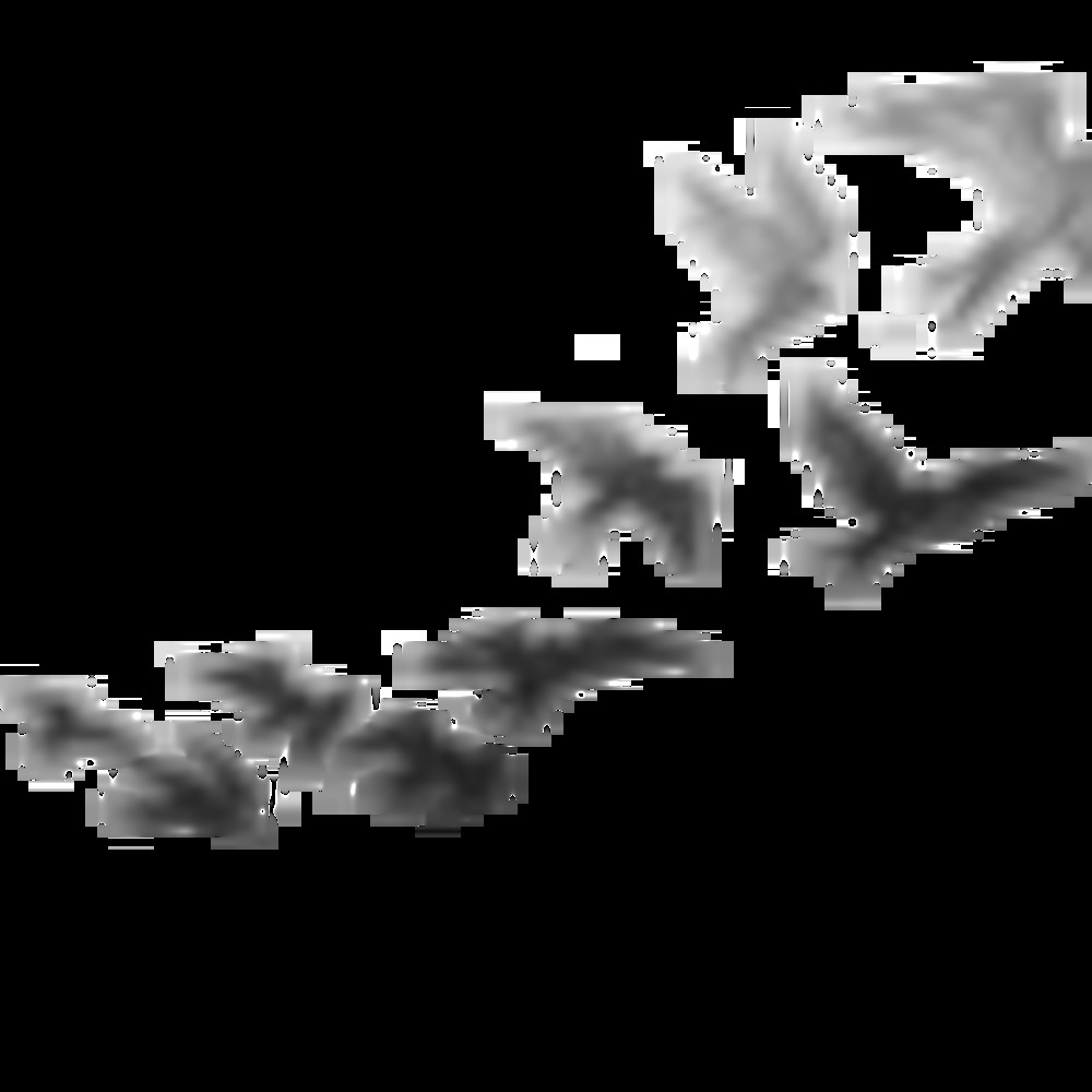 Meet your Posher, Jaz